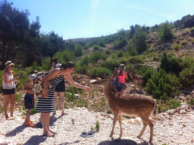 Punat: Grgur, Goli, Rab, and Krk Island Boat Trip with Lunch - The Itinerary: A Closer Look at the Highlights