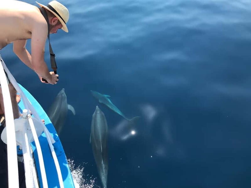 Punat: Grgur, Goli, Rab, and Krk Island Boat Trip with Lunch - Final Thoughts: Is This Trip Right for You?