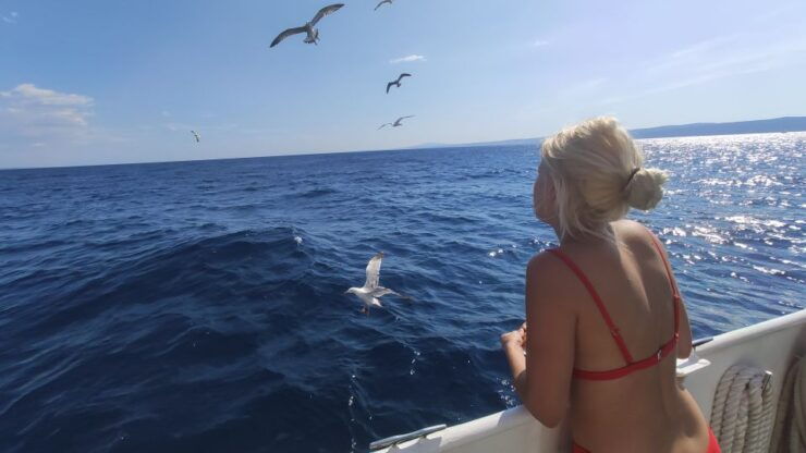 Punat: Krk Archipelago Half-Day Boat Tour - Tour Experience Highlights and Inclusions