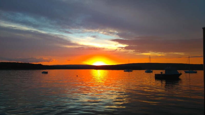 Punat: Plavnik and Krk Islands Private Boat Trip - Who is This Tour Best For?