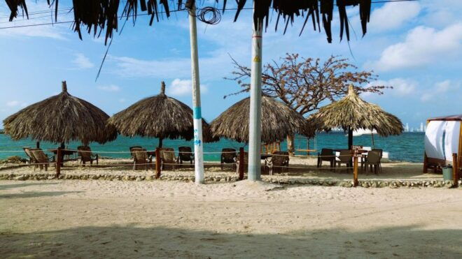 Punta Arena Beach, Day Tour. - Audio Guide and Language Options