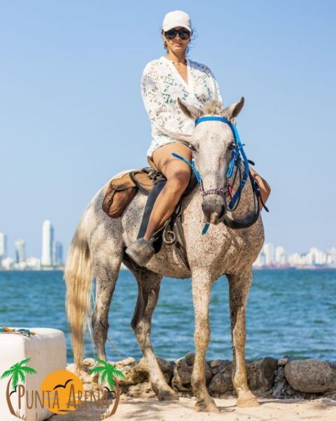 Punta Arena Beach, Day Tour. - Additional Restrictions and Recommendations