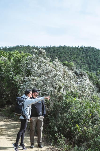 Punta Baffe: hiking immersed in the Mediterranean bush overlooking the sea - Good To Know