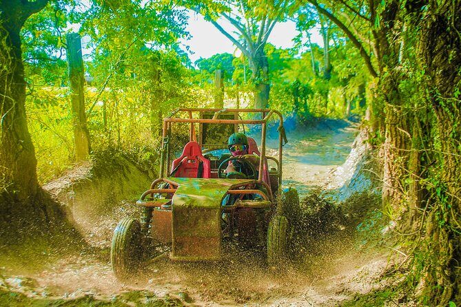 Punta Cana 4 Hours Buggy Tour Cave Macao Beach Free Pick Up - Introduction