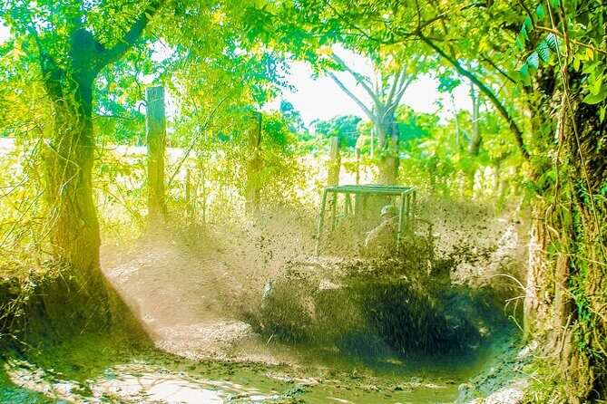 Punta Cana 4 Hours Buggy Tour Cave Macao Beach Free Pick Up - FAQ