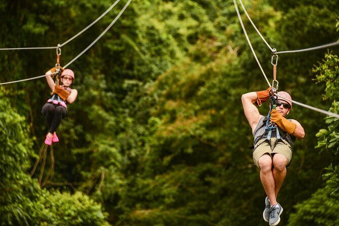 Punta Cana Adrenaline Half Day Tour Zip Line - Who Is This Tour Best For?