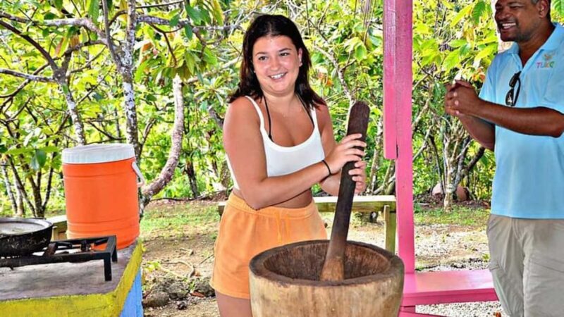 Punta Cana Adventures: Buggies, Horseback Riding & Ziplining - Who Will Love This Tour?