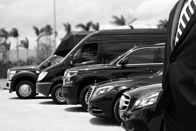 Punta Cana Airport Pick Up - Hotel Transportation Service - Punta Cana Airport Pick Up - Hotel Transportation Service Review