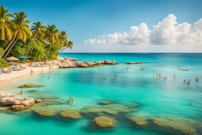 Punta Cana Airport PUJ Private Transfer to Multiple Destinations - Detailed Breakdown of the Service