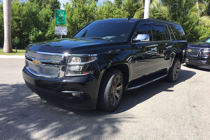 Punta Cana Airport to Punta Cana Hotels (Up to 35 Km) - Pricing and Booking