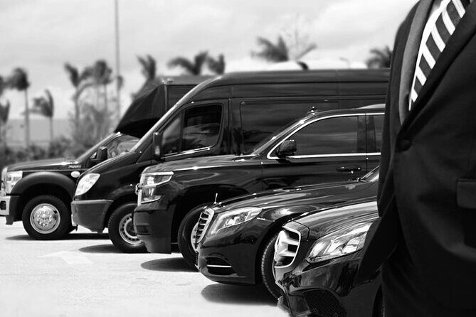 Punta Cana Airport Transfers - How the Transfer Works: A Step-by-Step  