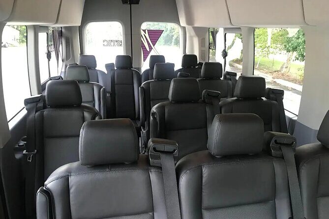 Punta Cana: Airport Transfers To Hotels For Group - Pricing Analysis and Value