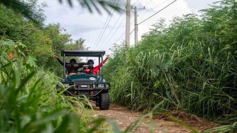 Punta Cana: Art and Forest Way Full-Day Tour with Lunch - FAQ  