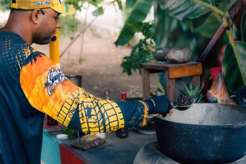 Punta Cana: ATV Tour, Cenote Swim, and Dinner - Who Would Enjoy This Tour?