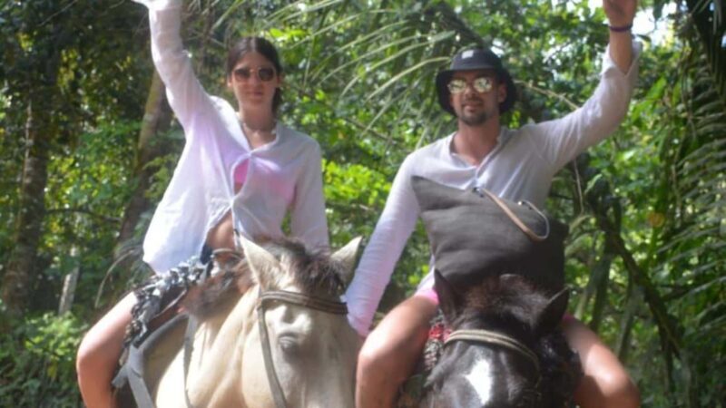 Punta Cana: Bacardi Island & Limon Waterfall Full-Day Tour - Transportation & Logistics