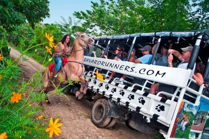Punta Cana: Bavaro Runners Safari Tour - Authenticity, Value, and Overall Experience