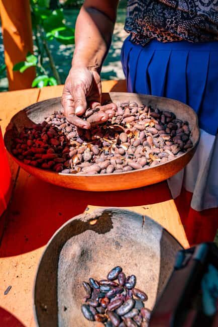 Punta Cana: Bavaro Runners Safari Tour - Who Is This Tour Best For?