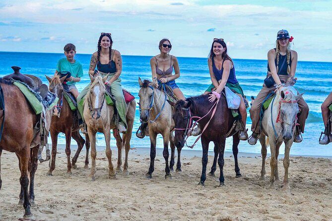 Punta Cana Beach Horseback Ride Paradise Coast Experience - Good To Know