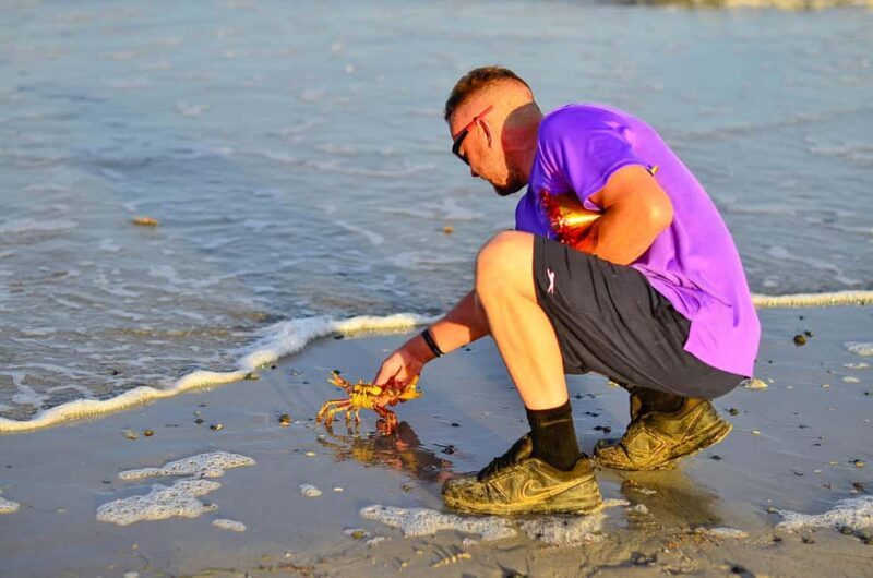 Punta Cana: Beach Sunset Horseback Riding with Hotel Pickup - The Experience in Detail