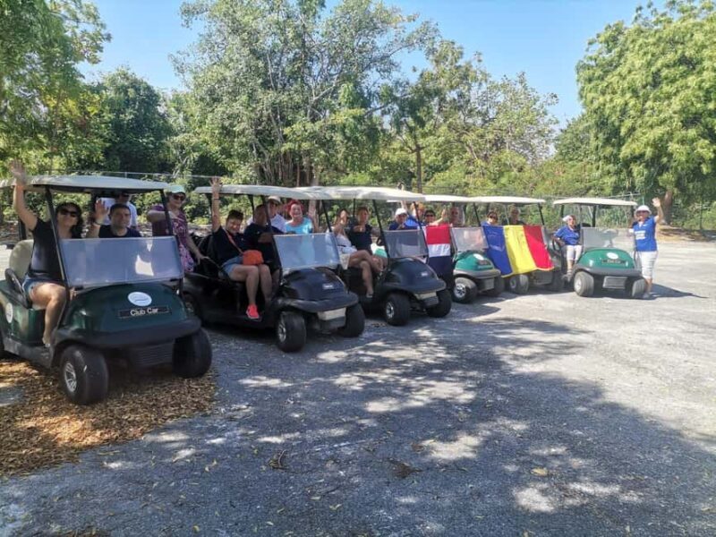 Punta Cana: Blue Lagoon Tour with Catamaran Cruise - A Deeper Look at the Itinerary and Experience