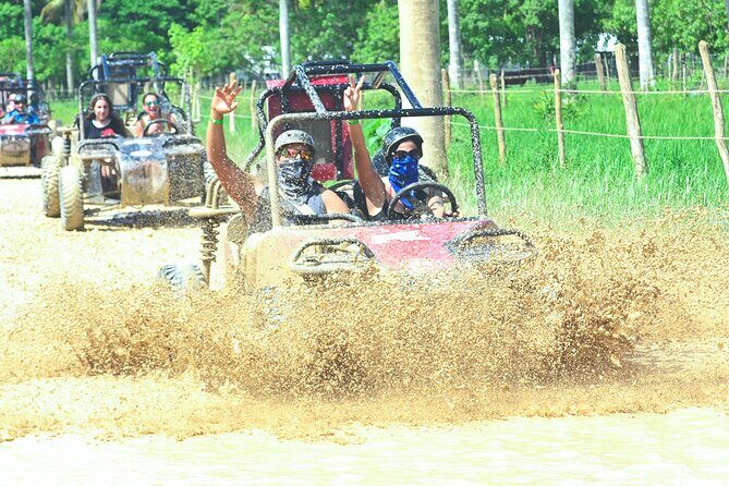 Punta cana Boogie into the Jungle with Coffee and Chocolate Taste - Exploring the Punta Cana Boogie into the Jungle with Coffee and Chocolate Taste