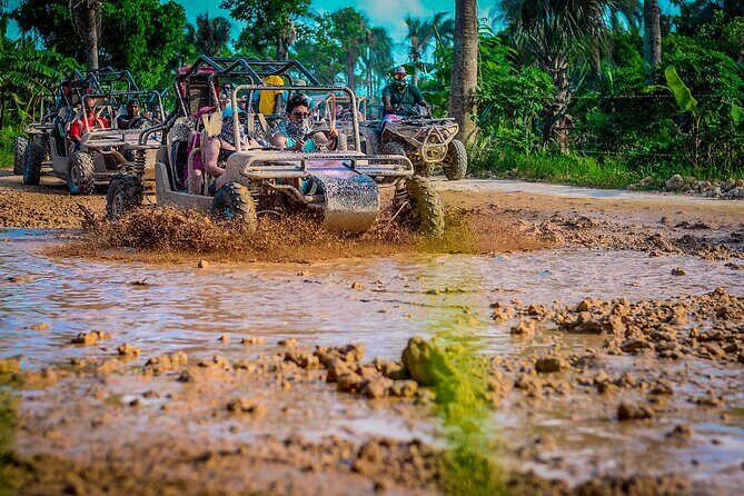 Punta cana Boogie into the Jungle with Coffee and Chocolate Taste - Practical Details: What You Should Know