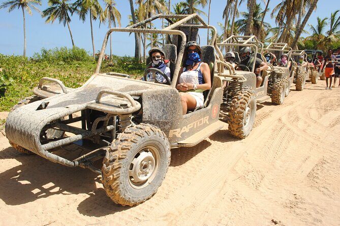 Punta cana Boogie into the Jungle with Coffee and Chocolate Taste - FAQs