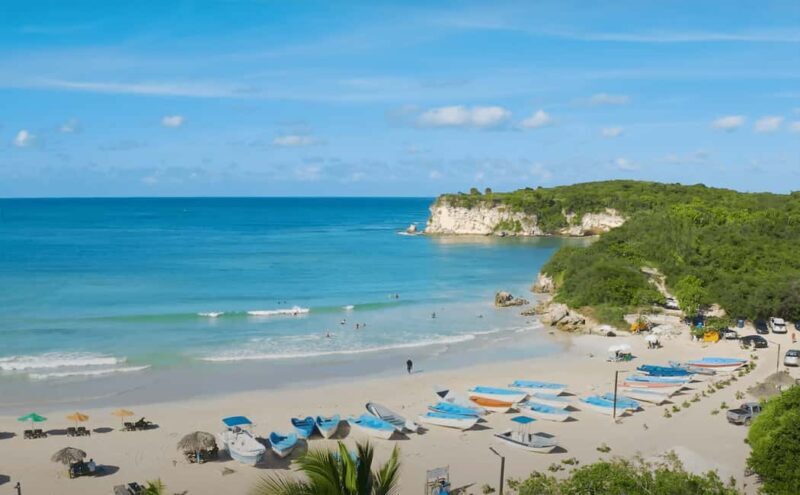 Punta Cana Buggies Adventure Tour - Who Will Enjoy This Tour?