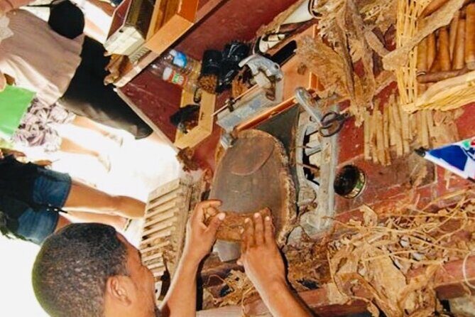 Punta Cana Buggy Adventure - Who Will Love This Tour?