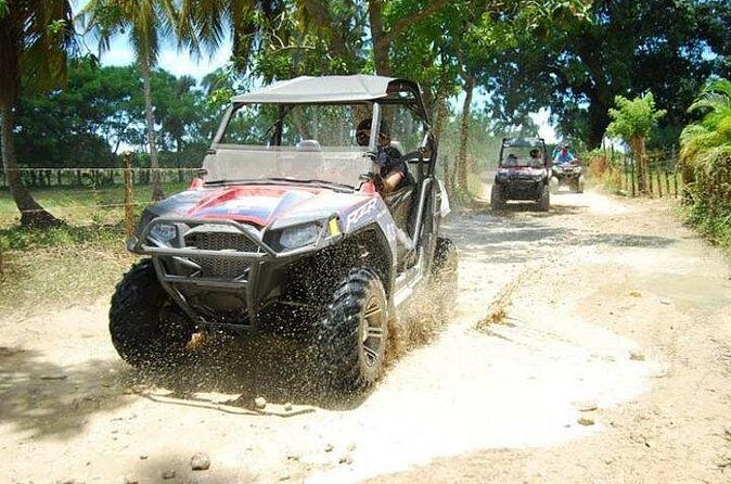 Punta Cana Buggy Adventure to Macao Beach - Authenticity and Value