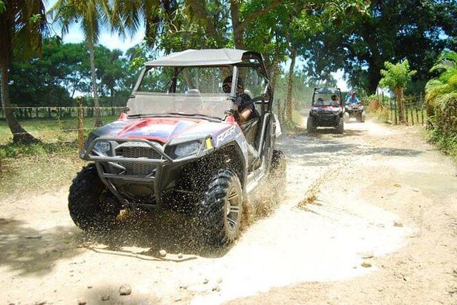 Punta Cana Buggy Adventure to Macao Beach - Final Thoughts