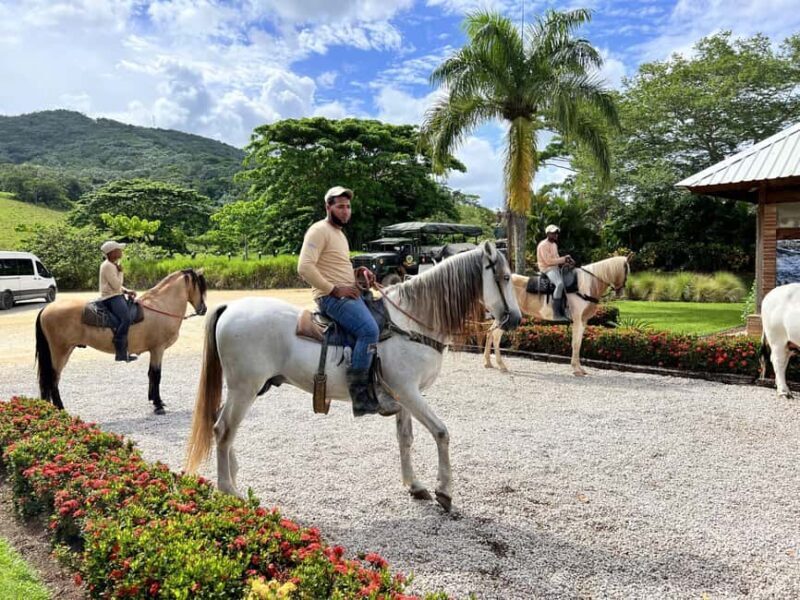 Punta Cana: Buggy and Zipline Adventure at La Hacienda - Final Thoughts: Is It Worth It?