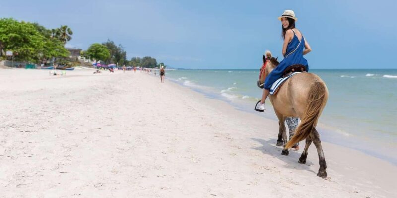Punta Cana: Buggy, Horseback Riding, Zipline, and Catamaran - Good To Know
