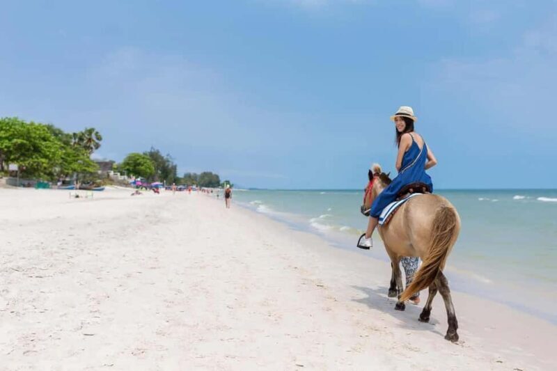 Punta Cana: Buggy, Horseback Riding, Zipline, and Catamaran - Who Should Consider This Tour?