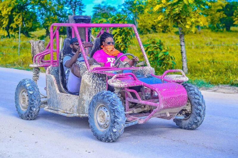 Punta Cana: Buggy or ATV Tour with Macao Beach Visit - Who Should Take This Tour?