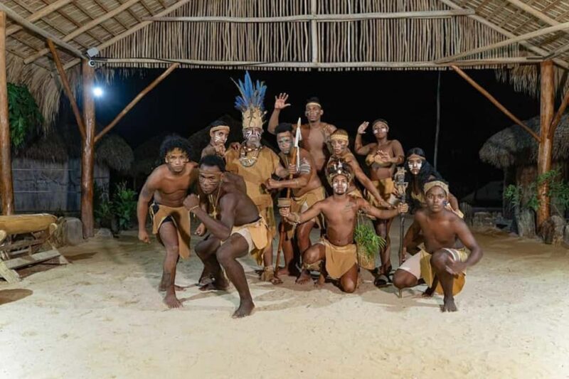 Punta Cana: Buggy Tour with Cenote Swim and Dinner - Who Will Love This Tour?