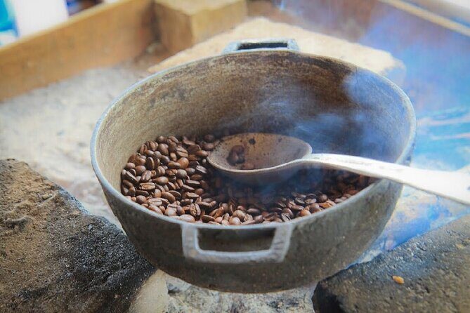 Punta Cana Buggy Tours , Cenotes , Macau Beach - The Sum Up