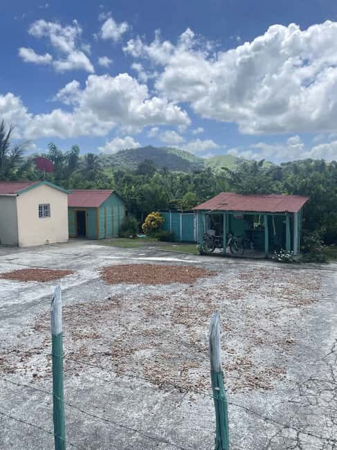 Punta Cana: Cacao, River, and Basilica Tour with Swim - Good To Know