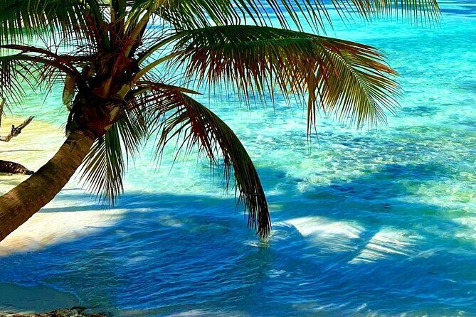 Punta Cana Catalina Island Catamaran Tour Package Deal - Is This Tour Right for You?