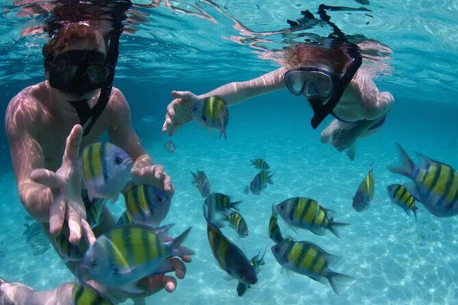 Punta Cana Catalina Island Catamaran Tour Package Deal - Final Thoughts