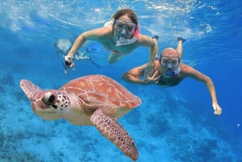 Punta Cana: Catalina Island Classic or VIP Sailing Tour - Good To Know