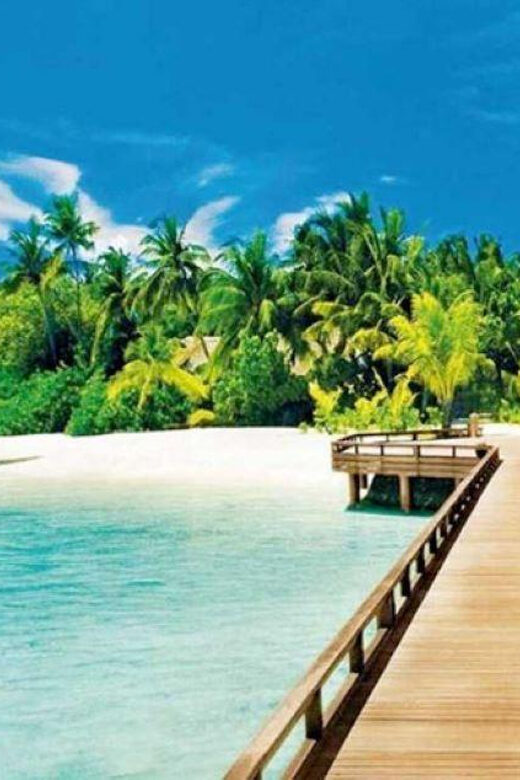 Punta Cana: Catalina Island Day Trip with Snorkeling - The Sum Up: Who Is This Tour Best For?