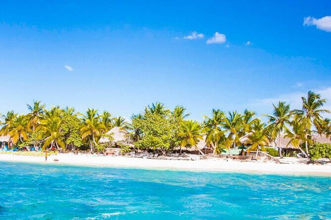 Punta Cana: Catalina Island Diving And Snorkeling - Good To Know