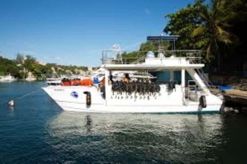 Punta Cana: Catalina Island Scuba Diving Day Trip - Good To Know