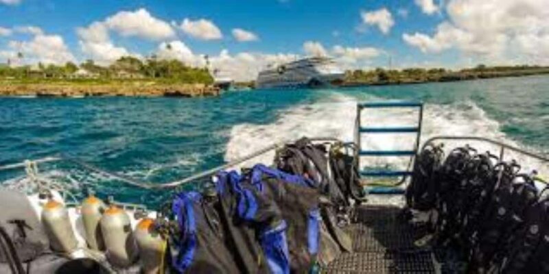 Punta Cana: Catalina Island Scuba Diving Day Trip - What to Expect from the Catalina Island Scuba Experience