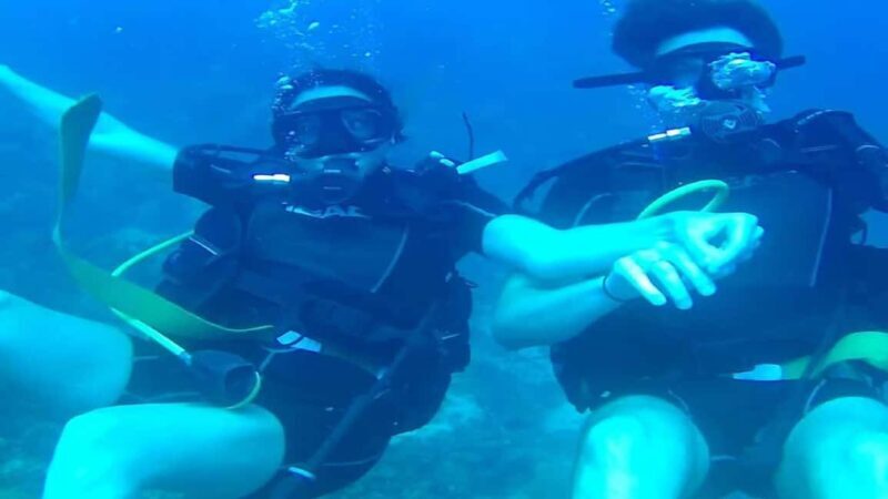 Punta Cana: Catalina Island Scuba Diving Day Trip - Who Will Enjoy This Tour?