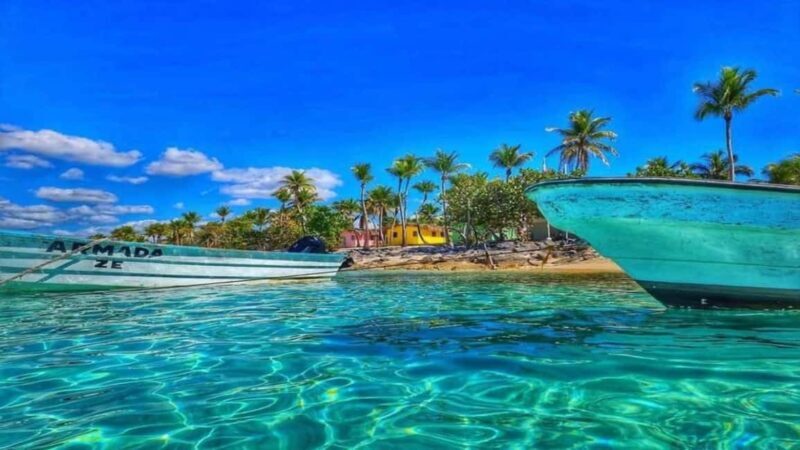 Punta Cana: Catalina Island Snorkeling Tour with Lunch - What to Expect on the Tour