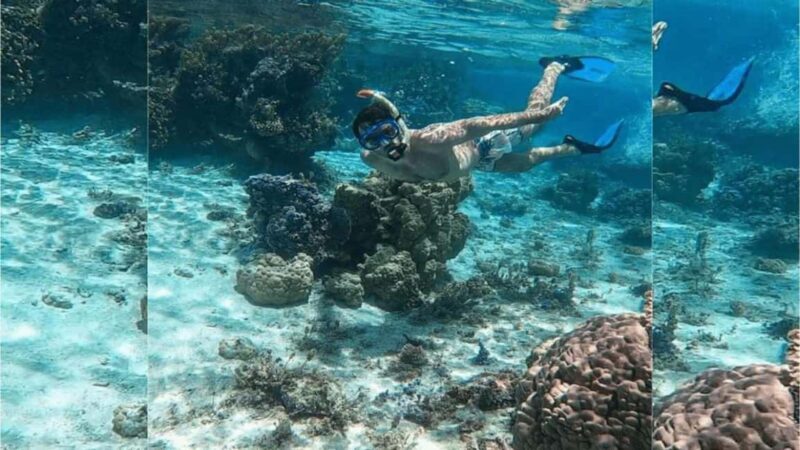Punta Cana: Catalina Island Snorkeling Tour with Lunch - The Sum Up
