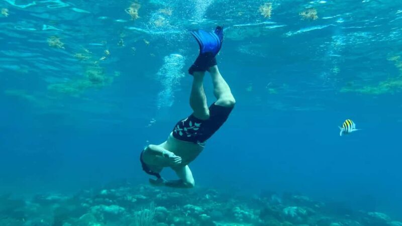 Punta Cana: Catalina Island Snorkeling Tour with Lunch - Practical Details & Considerations