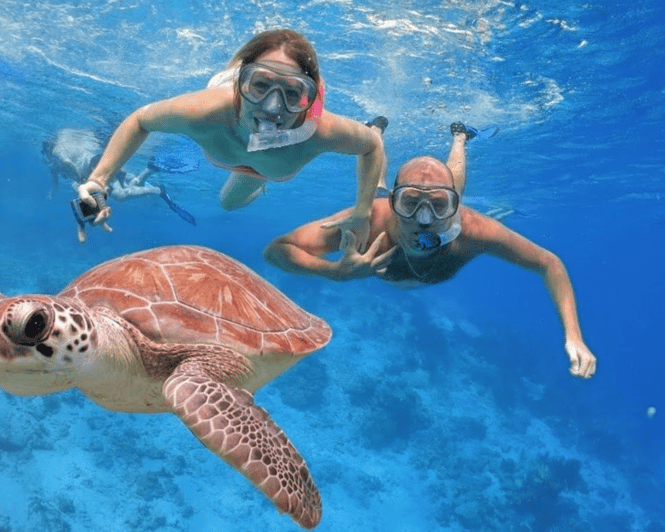 Punta Cana: Catalina Island With Snorkeling - Good To Know